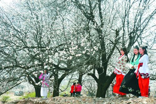 网球直播实时在线直播 banner